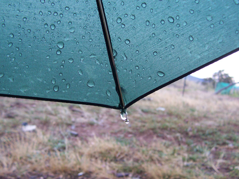 Umbrella_with_raindrops.jpg